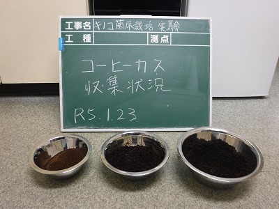 ヒラタケ菌床栽培
