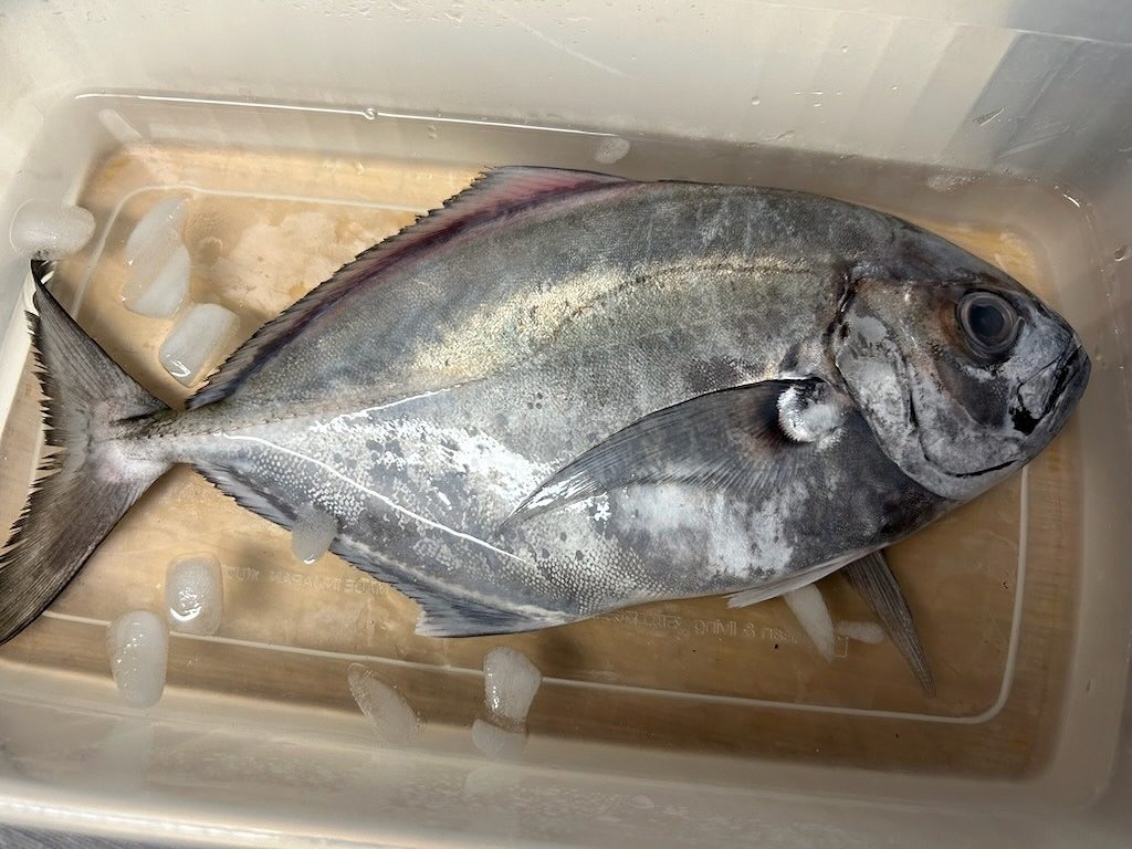 社長の趣味🎣